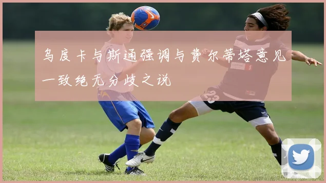 乌度卡与斯通强调与费尔蒂塔意见一致绝无分歧之说